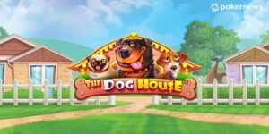 Biendo Game Slot Đổi Thưởng Slot Thần Tài Đến The Dog House